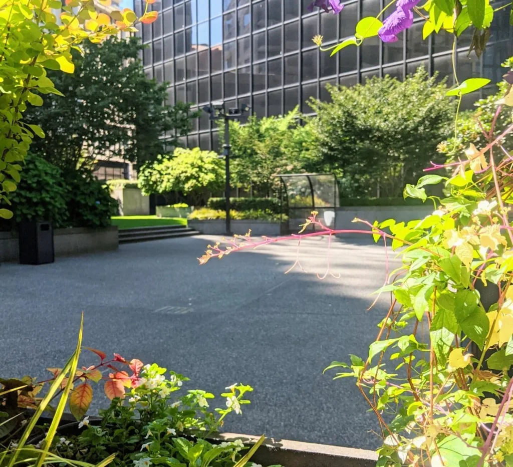 A green plaza right in the center of downtown, flowers around the image