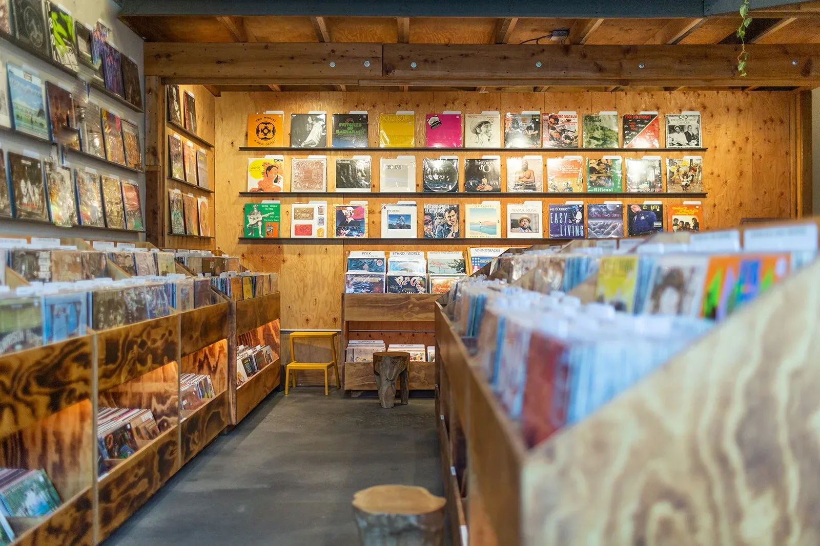 The interior of Daybreak Records showing rows of vinyl