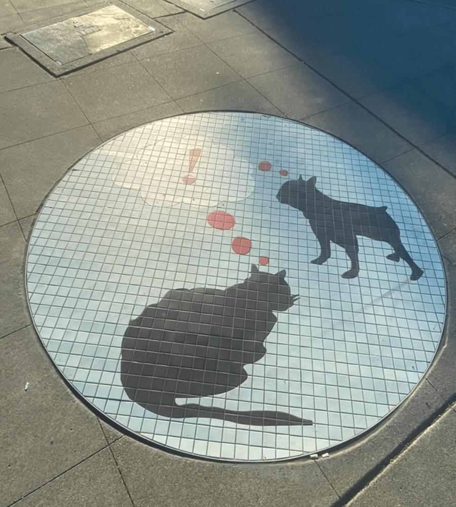 A plate of a dog and cat thinking