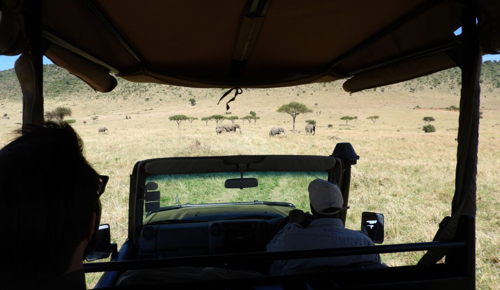 Kenya safari image from inside car