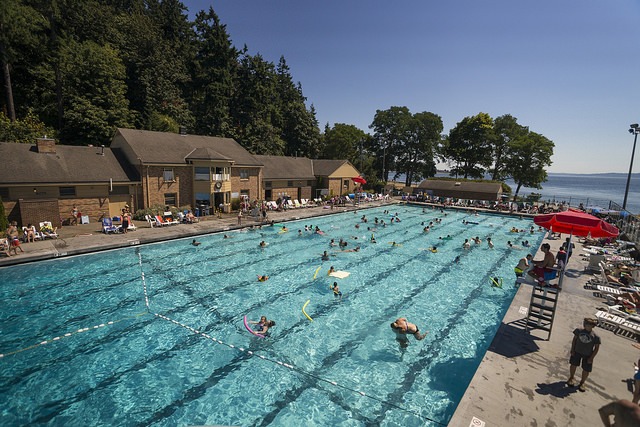 People swimming at Colman Pool on a bright summer day