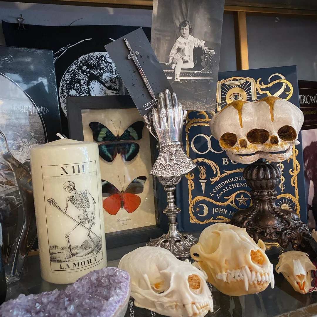 A display of oddities and curiosities at the expo