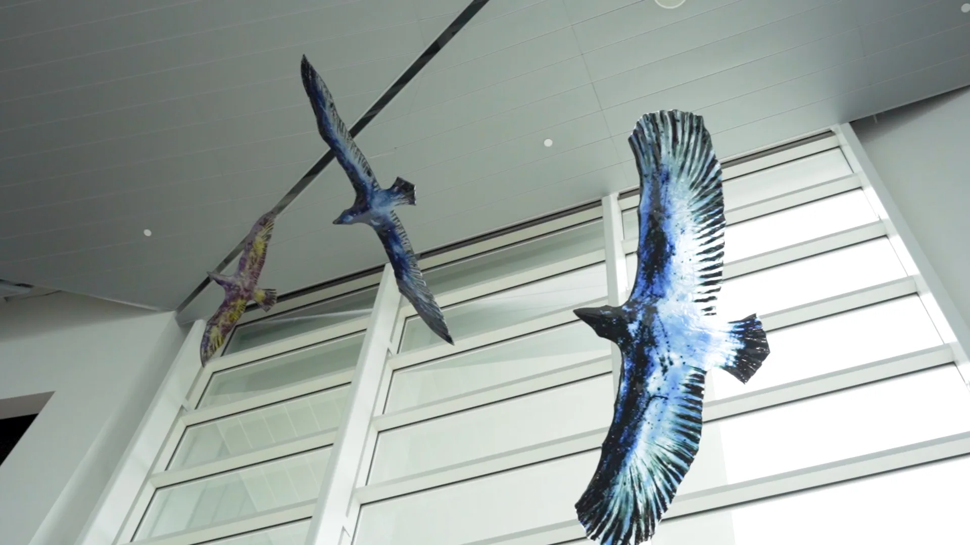 Two glass birds, both blue, hand in the National Nordic Museum's main entrance. An art piece—Tróndur Patursson's Migration.