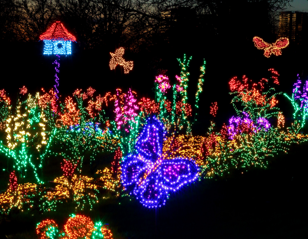 A display of lights in the shape of a butterfly flying amongst flowers at Garden D'lights.