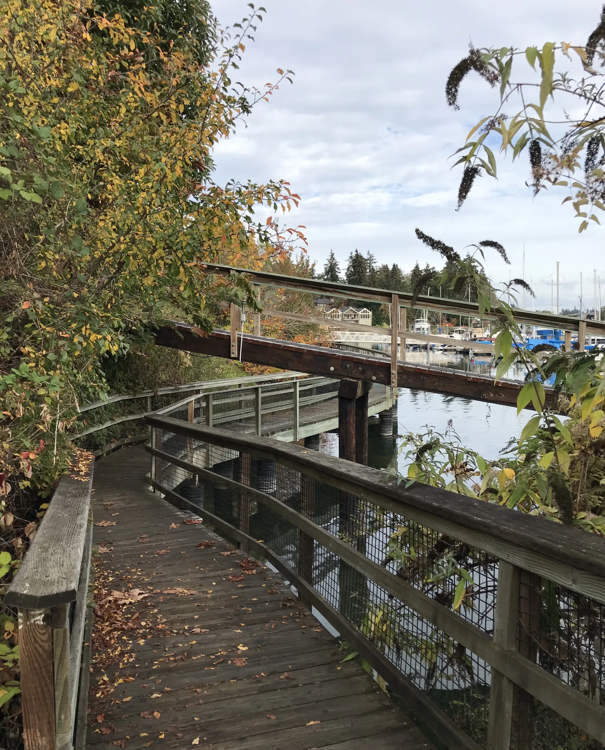 The Waterfront trail boardwalk