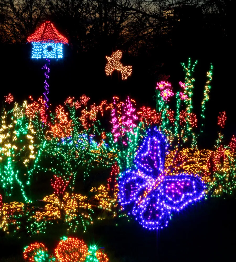 A display of lights in the shape of a butterfly flying amongst flowers at Garden D'lights.