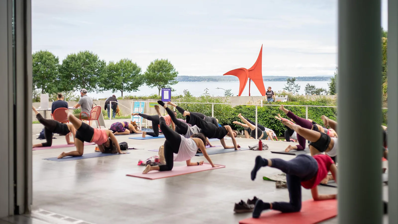 A group doing yoga at Olympic Sculpture Park Pavilion.