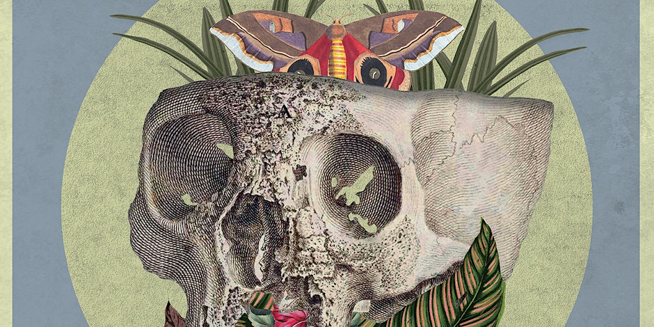 A crop of a skull with flowers coming out of it