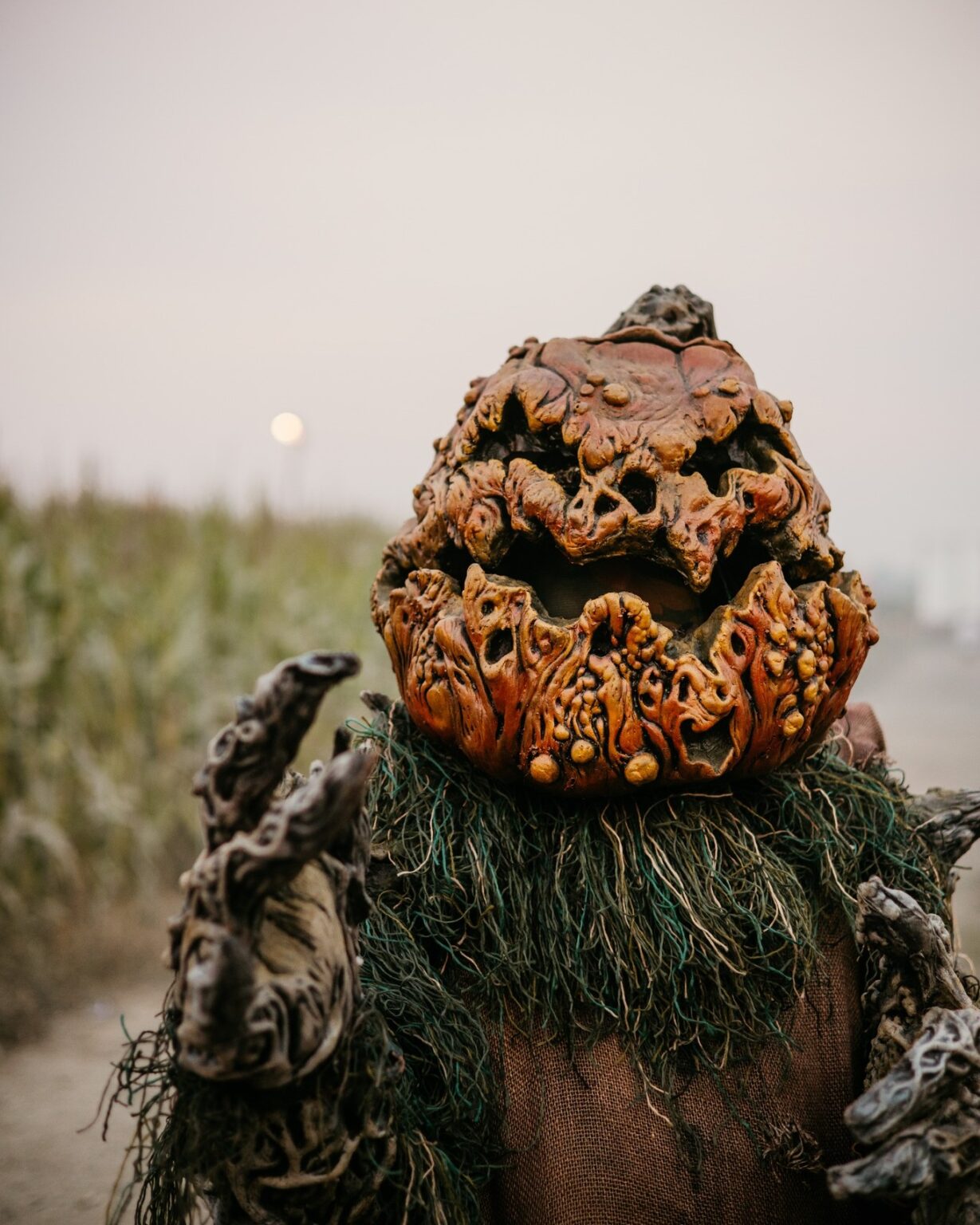 A spooky pumpkin head haunts a smoky corn trail