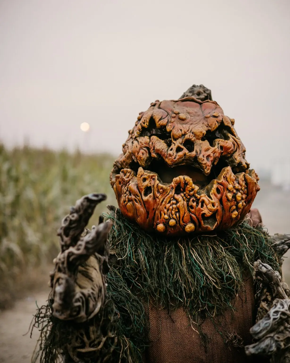 A spooky pumpkin head haunts a smoky corn trail