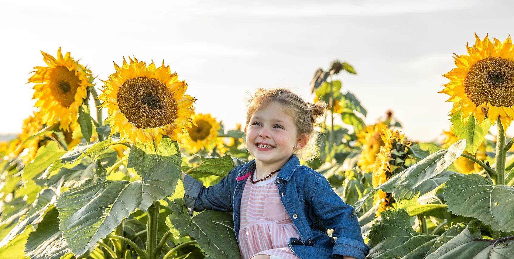 A young girl smiles in a sunflower patch.