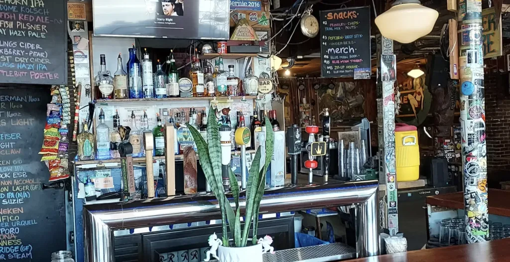 Well-stocked bar at Blue Moon Tavern with sticker-covered columns, chalkboard beer menu, and signature snake plant in decorative planter, capturing the dive bar's eclectic character.