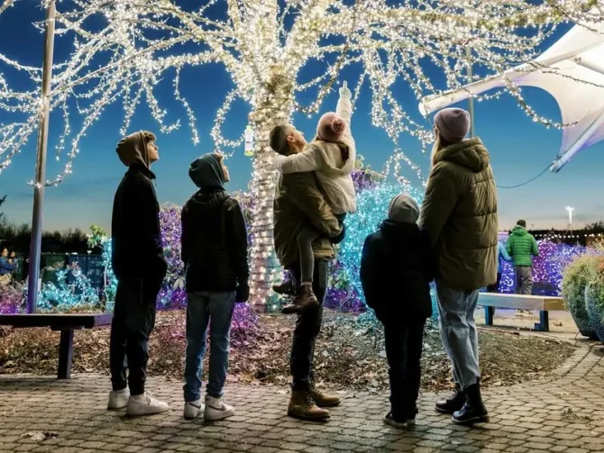 A family admires the dazzling holiday light display at Tulalip Lights & Ice, where a tree wrapped in thousands of white LED lights creates a sparkling canopy against the twilight sky. Beautiful blue and purple illuminated decorations dot the landscape as visitors in winter coats gather to experience one of the Pacific Northwest's largest holiday light shows, featuring over 7.8 million lights.