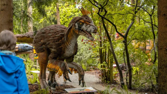 Dinosaur Discovery at Woodland Park Zoo