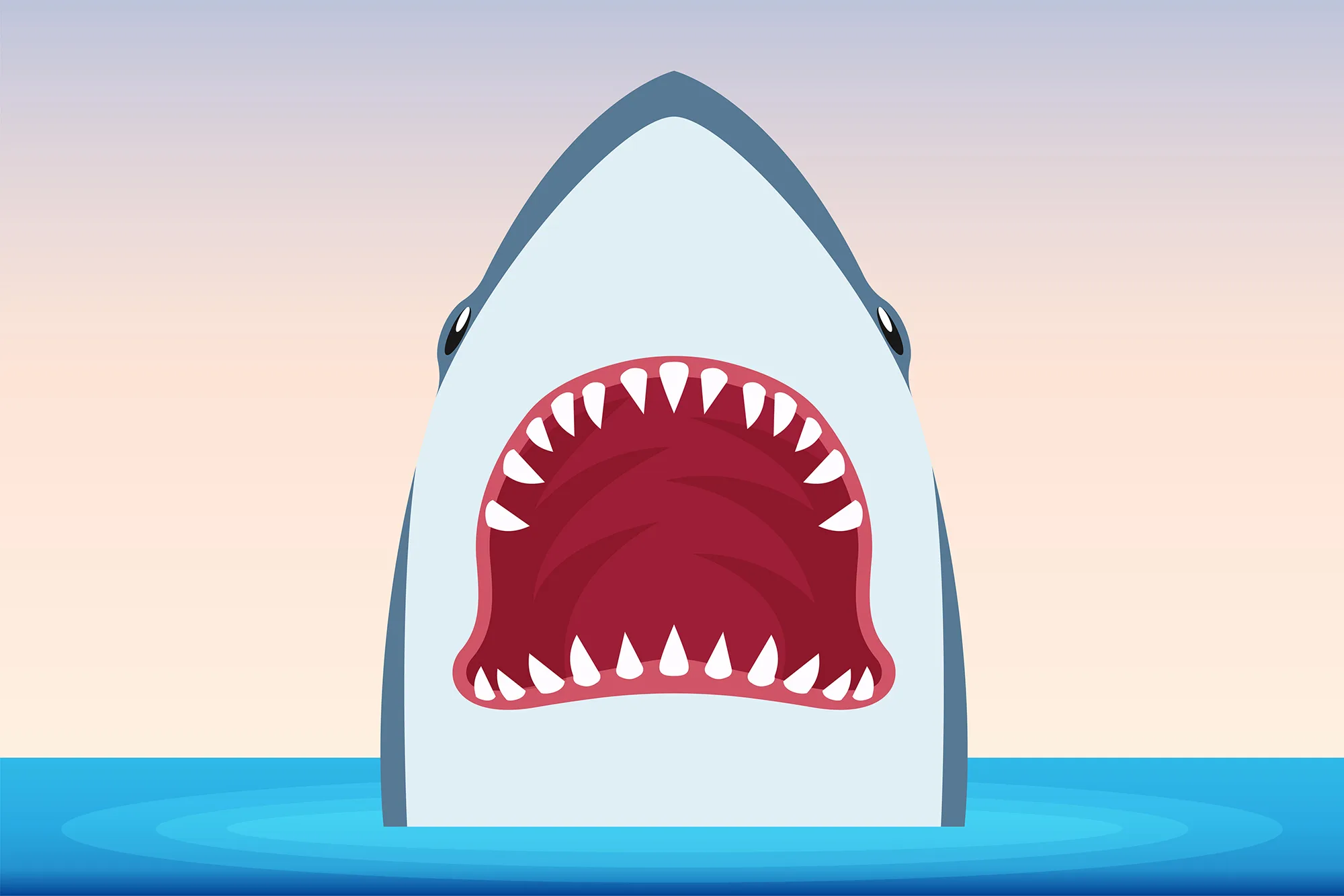 Shark illustration