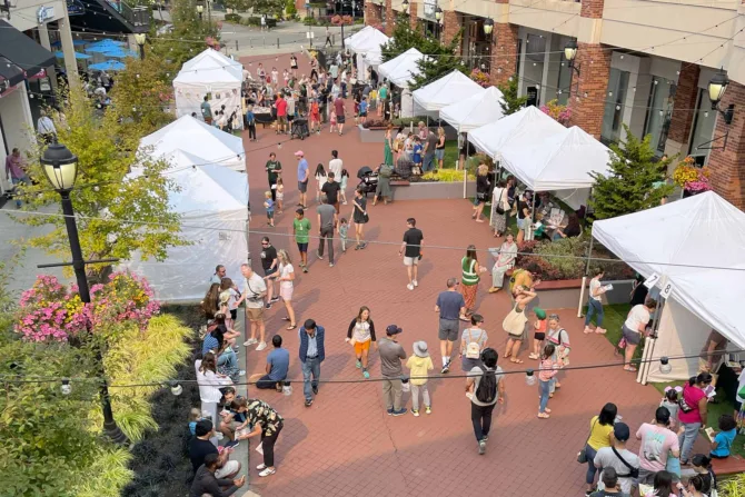 Bigfoot Kids' Book Festival aerial