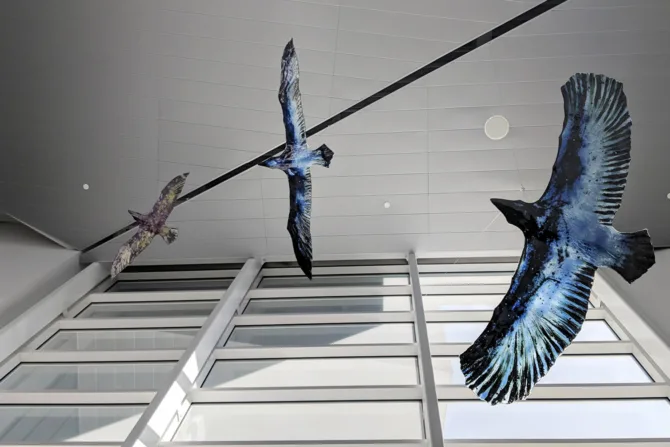Birds in the National Nordic Museum