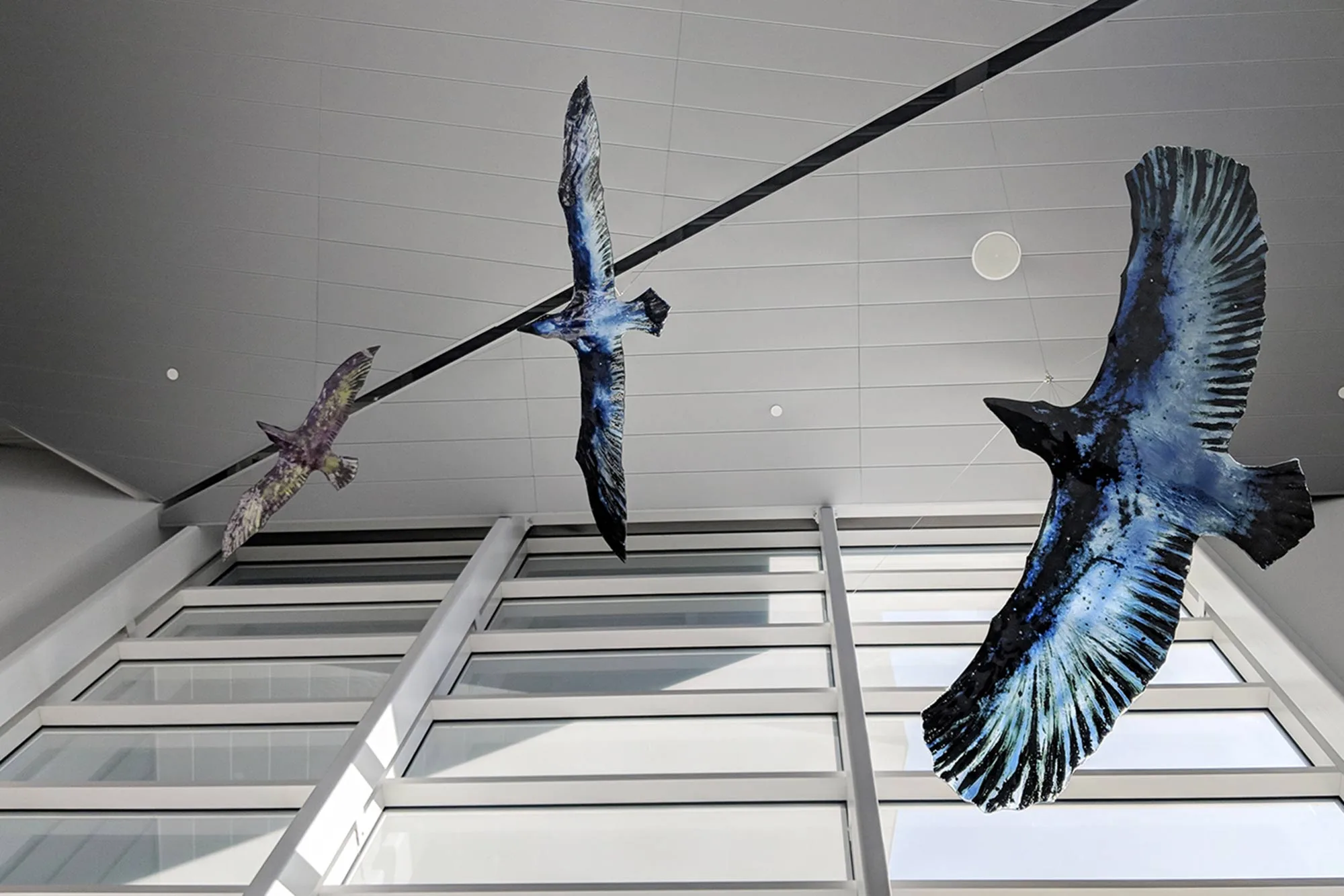 Birds in the National Nordic Museum