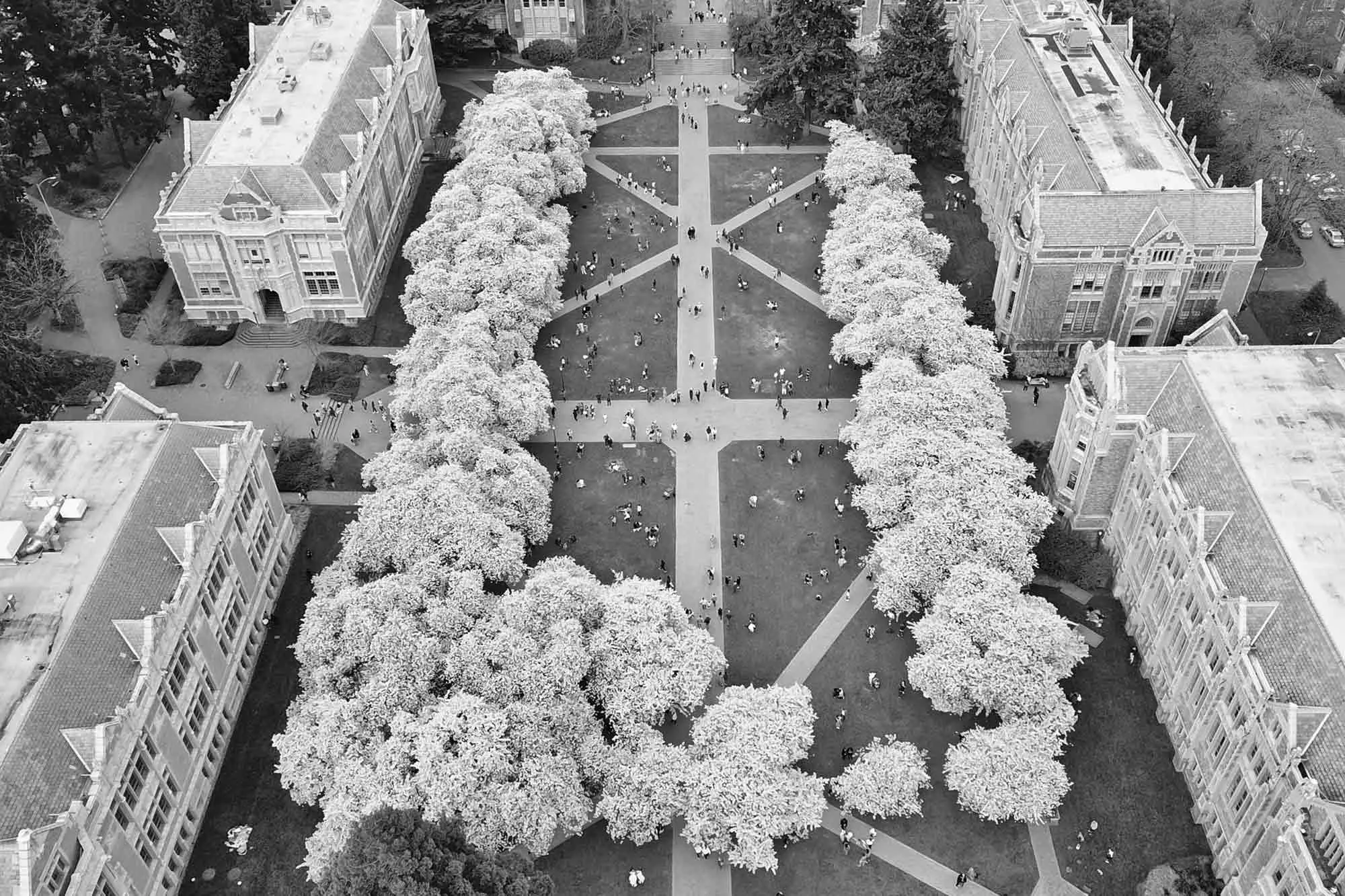 Black and white aerials of UW campus