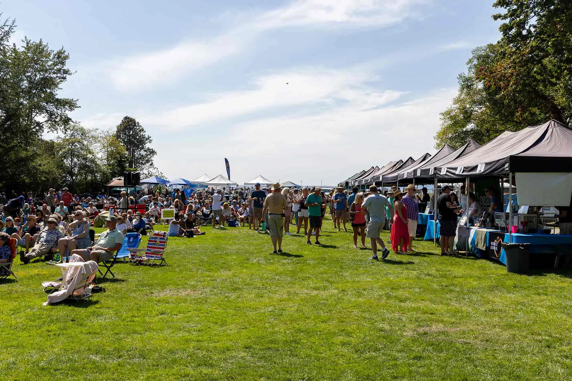 Beer and cider tents and Blues and Brews